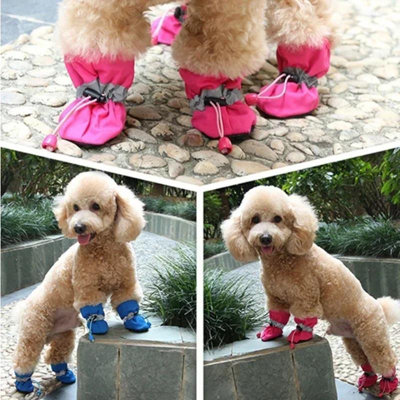New 4pcs Waterproof Pet Dog Sh – Shoe Polish Cream Bewertung und Preis